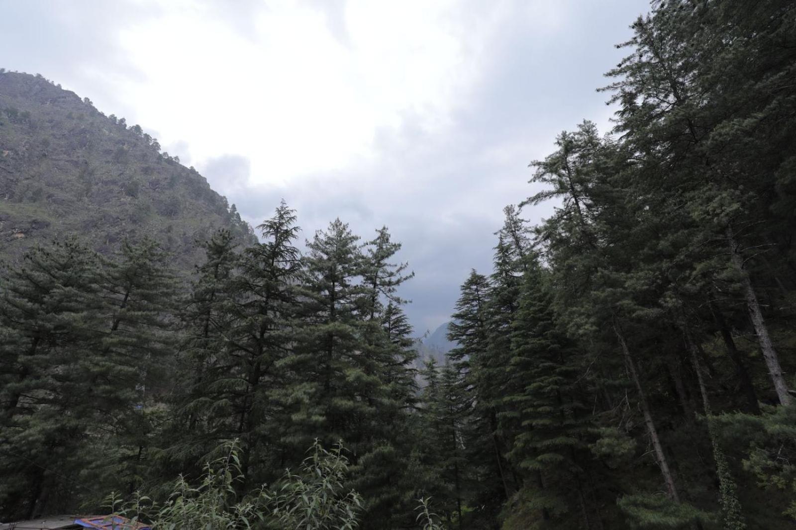 Shangri-La Rooms & Restaurant Kasol Exterior foto